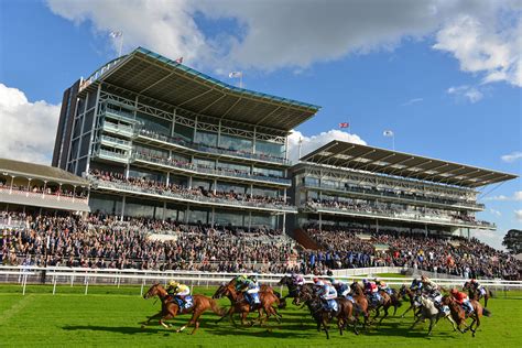 york races bet